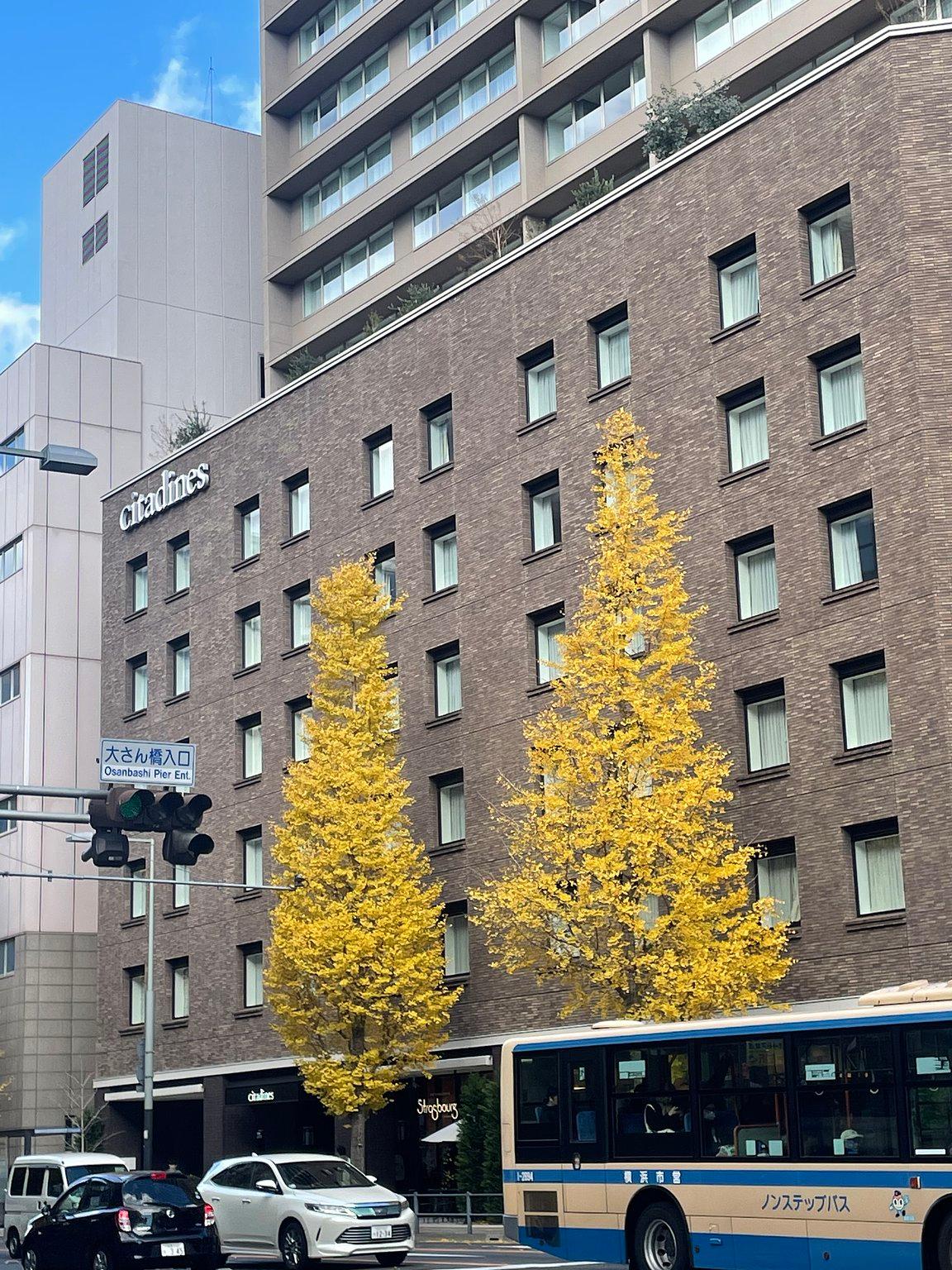 横浜で暮らすように過ごすホテルステイ