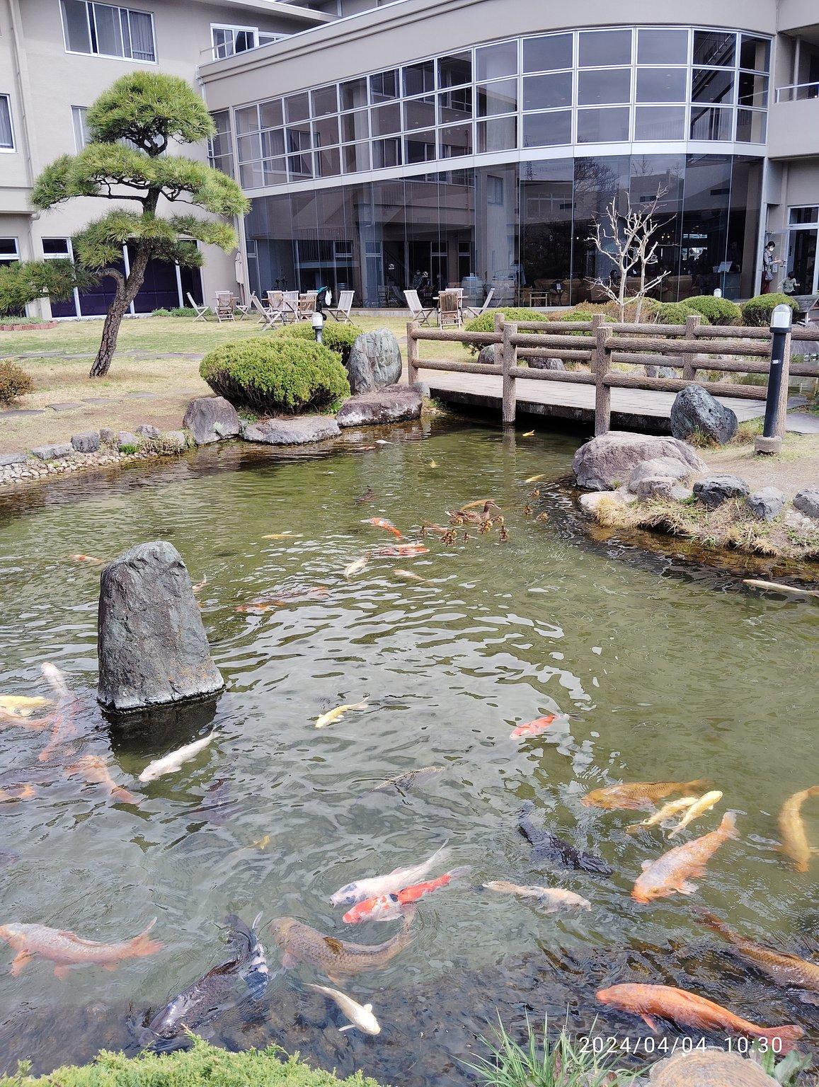 カルガモの赤ちゃんと天然石に触れ合う旅！