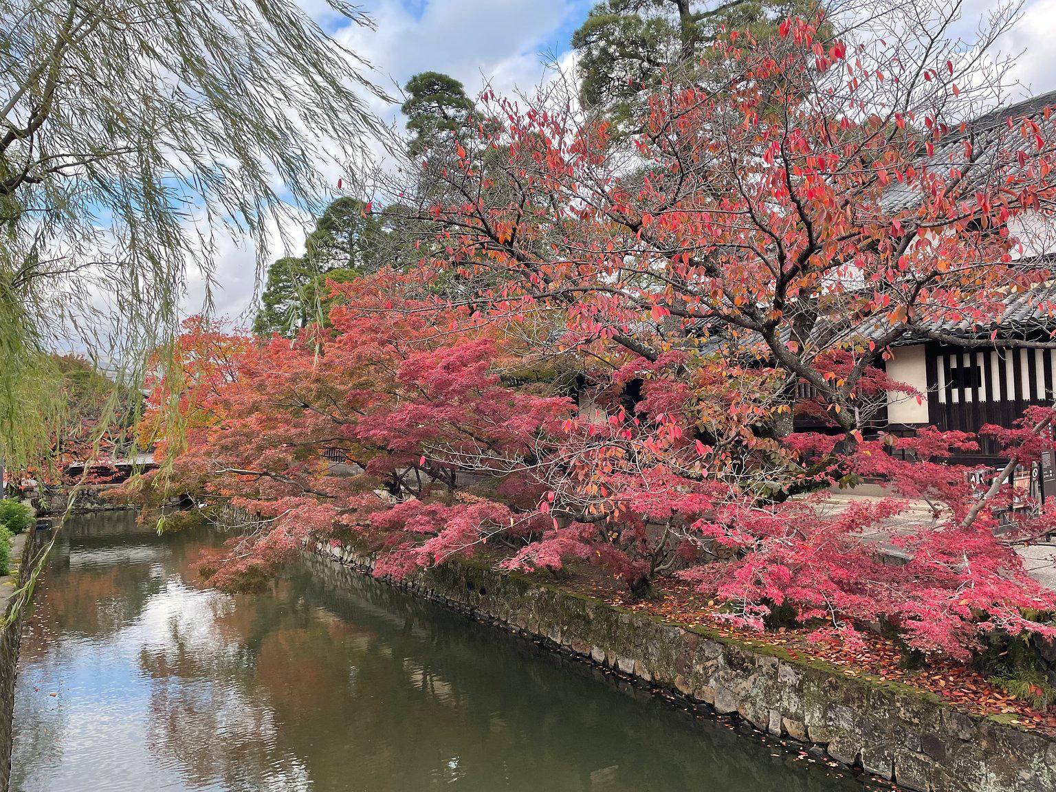 秋の岡山に癒しを求めて…