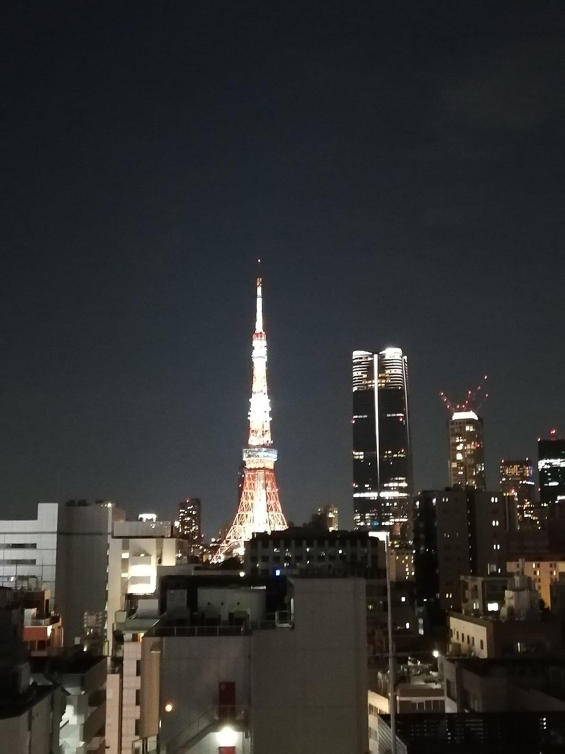 東京タワーにおやすみとおはよう