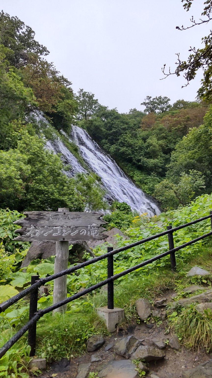 知床自然の旅の拠点に😊