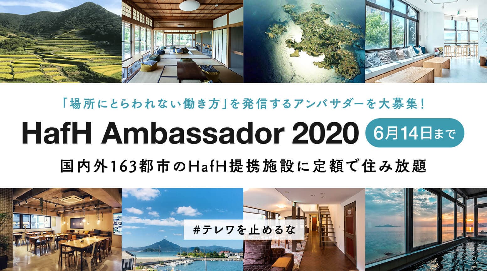 「HafHアンバサダー2020」を募集します!