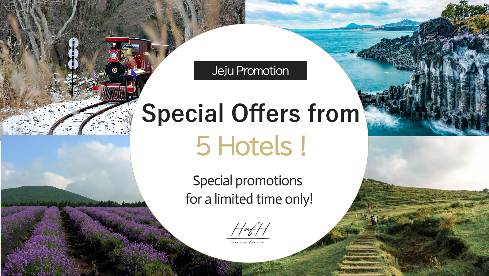 A Journey to fairy tales in Jeju,with special promotion benefits!