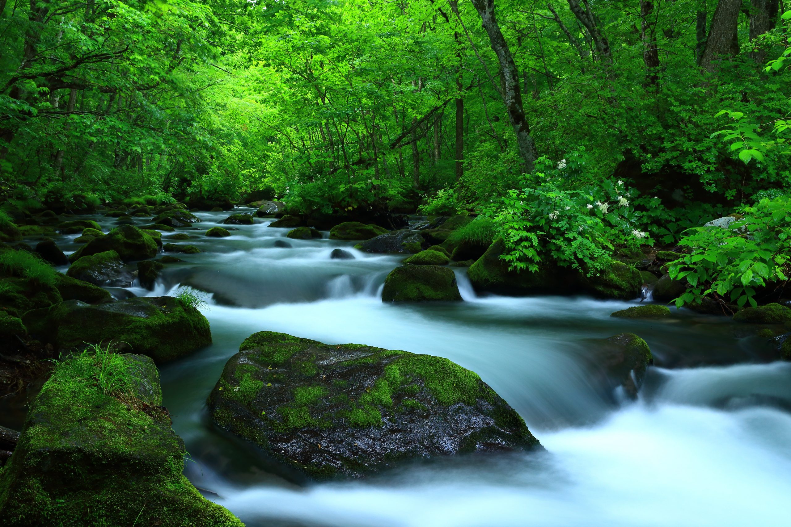 最新のおすすめ航空券情報【次はどこへ行く?】(更新日 2024年4月26日)